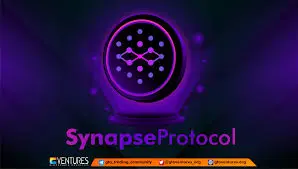 Synapse Protocol